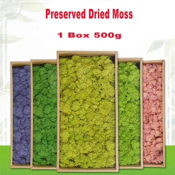 Conservate Moss Perete Decor Real Conservate Moss Nu De Întreținere Necesară În Mod Natural Conservat Mușchi De Perete Acasă Partid Festivaluri Meserii