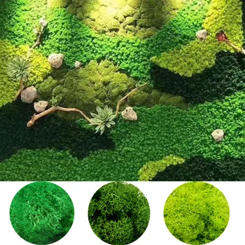 20g Plante Naturale Mușchi Artificial Decor de Flori de Perete DIY Acasă Fals Material Moss Pentru Mini Gradina Micro Peisaj Accesorii