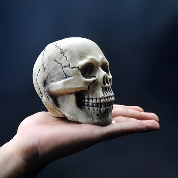 Decorațiuni Interioare Din Plastic Meserii Realist Craniu Personalitate Arta De Groază Recuzită Casa Bantuita Zombie De Halloween, Accesorii De Petrecere